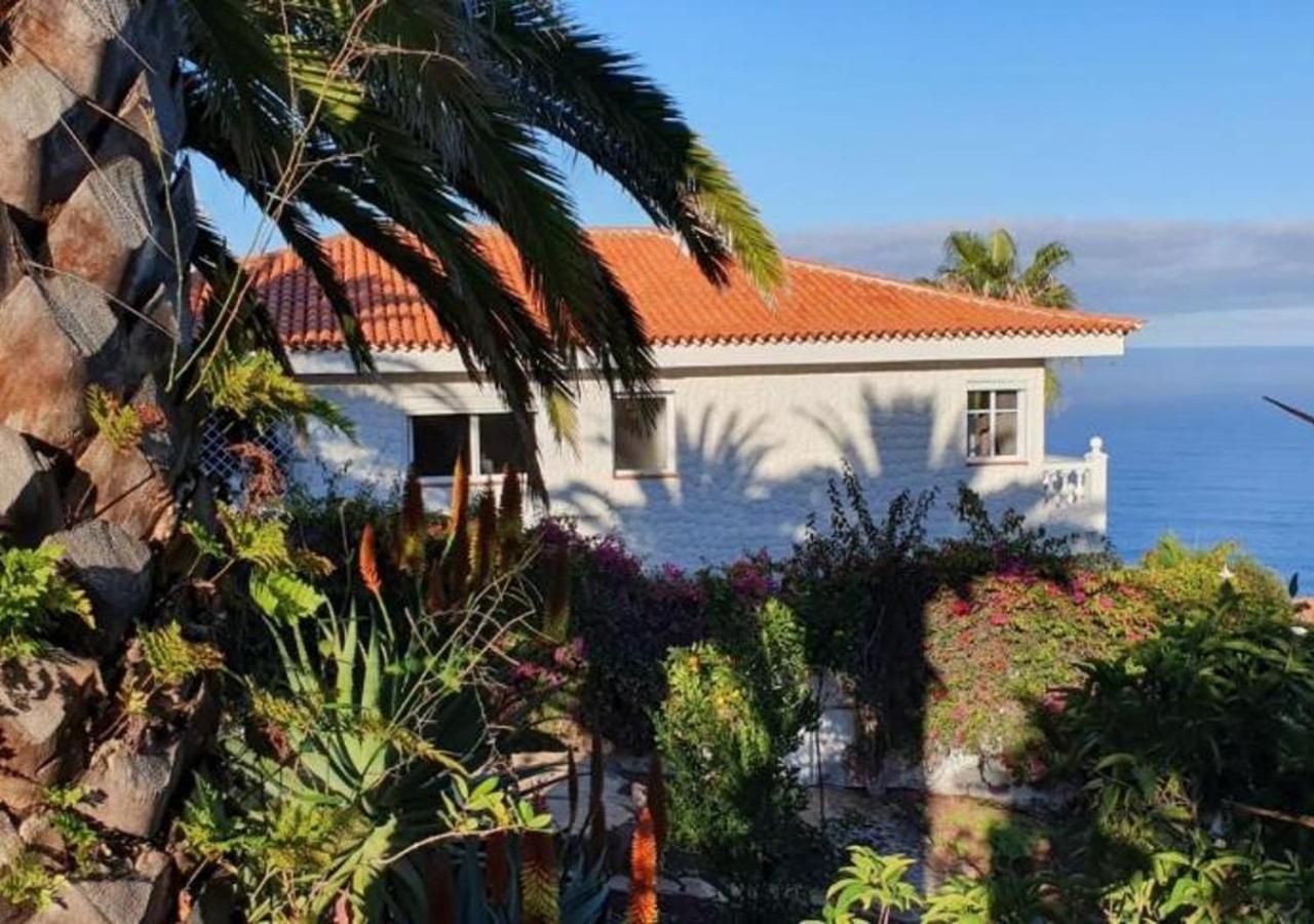 Villa Larnia De Tenerife ساوزال المظهر الخارجي الصورة