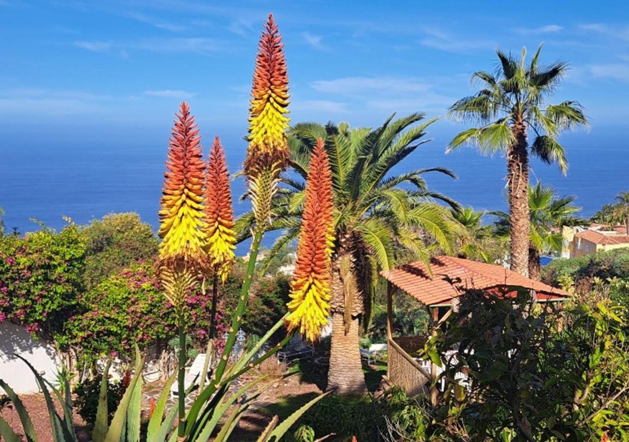 Villa Larnia De Tenerife ساوزال المظهر الخارجي الصورة