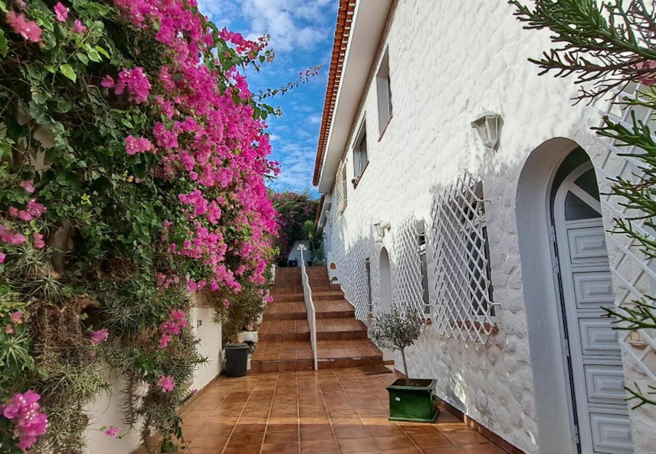 Villa Larnia De Tenerife ساوزال المظهر الخارجي الصورة