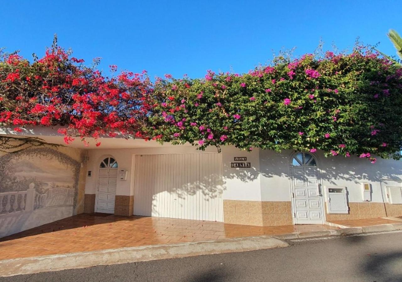 Villa Larnia De Tenerife ساوزال المظهر الخارجي الصورة