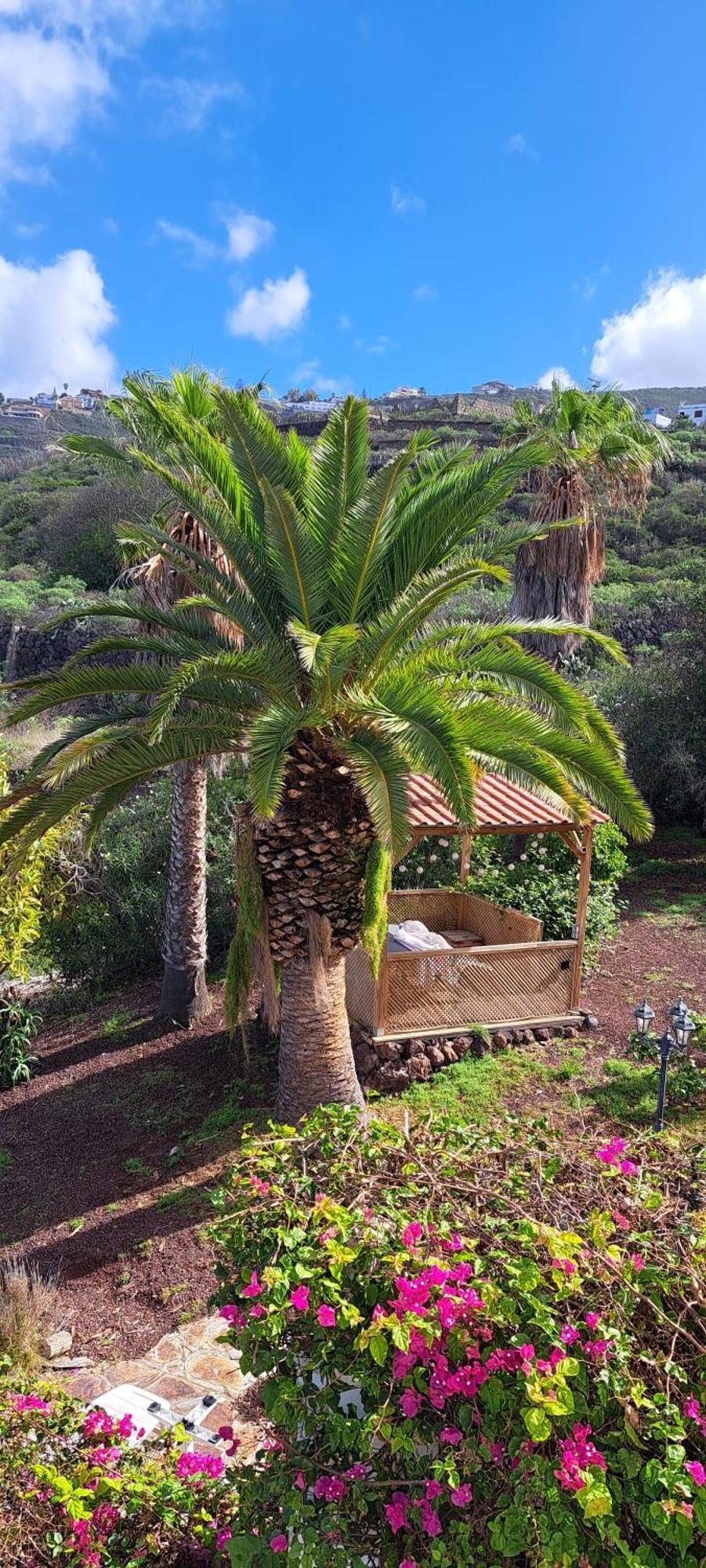 Villa Larnia De Tenerife ساوزال المظهر الخارجي الصورة
