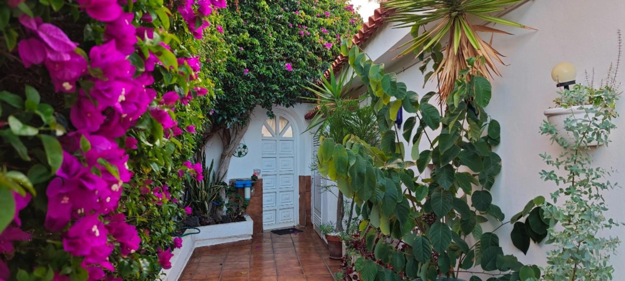 Villa Larnia De Tenerife ساوزال المظهر الخارجي الصورة