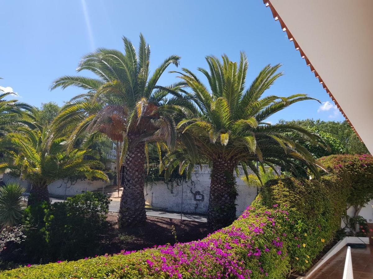 Villa Larnia De Tenerife ساوزال المظهر الخارجي الصورة