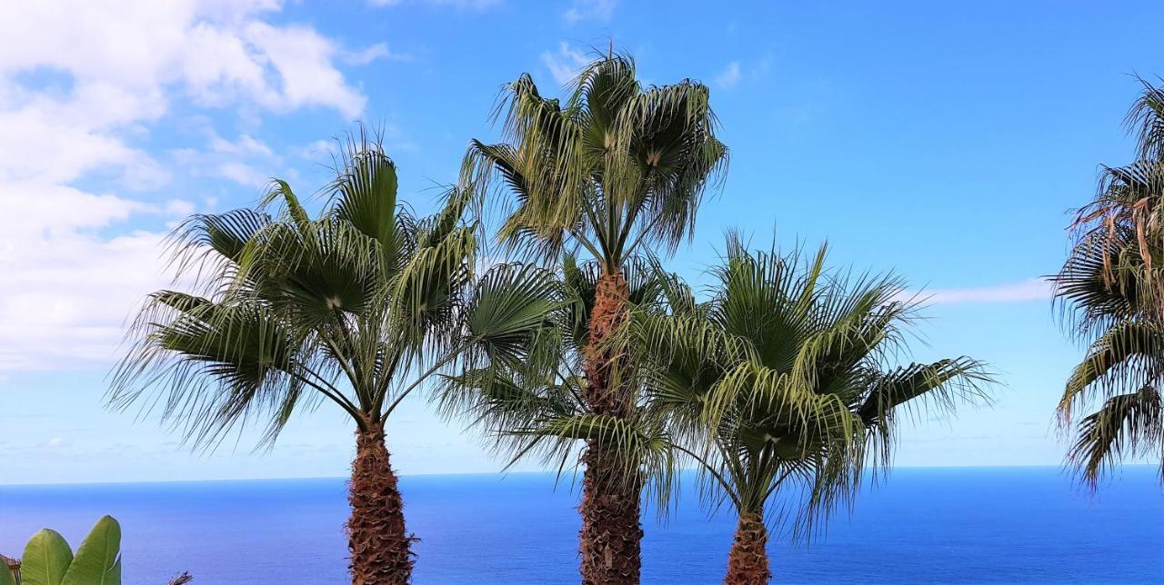 Villa Larnia De Tenerife ساوزال المظهر الخارجي الصورة